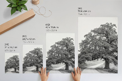 Affiche décorative Arbre monumental, paysage paisible