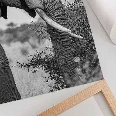 Décoration murale gros plan d'un éléphant mettant en valeur sa beauté naturelle et l'harmonie des textures