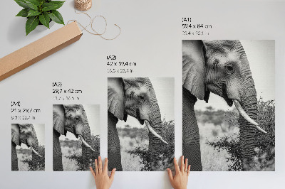 Décoration murale Gros plan d'un éléphant : beauté naturelle et harmonie des textures