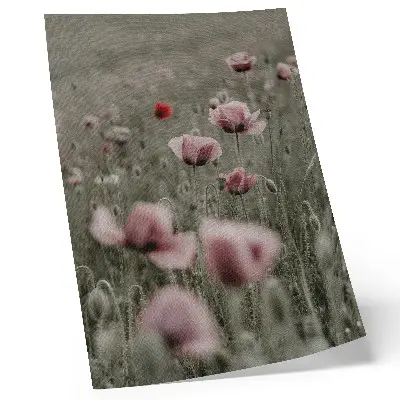 Impression sur toile coquelicots pastel à l'ambiance romantique et aux fleurs subtiles