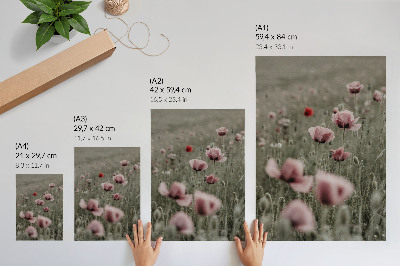 Impression sur toile Coquelicots pastel, ambiance romantique, fleurs subtiles