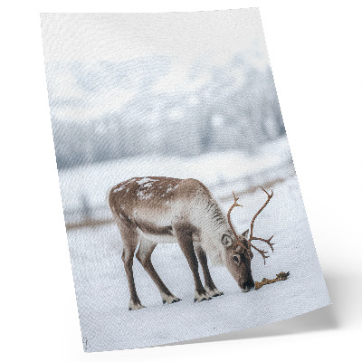 Décoration murale Renne dans la neige, nature, paix, élégance