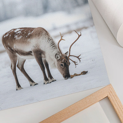 Décoration murale Renne dans la neige, nature, paix, élégance