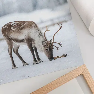 Décoration murale représentant un renne dans la neige évoquant la nature, la paix et l'élégance