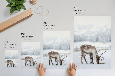 Décoration murale Renne dans la neige, nature, paix, élégance
