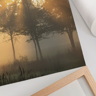 Impression sur toile Lumière chaude et brumeuse de l'aube, inspiration pour les arbres