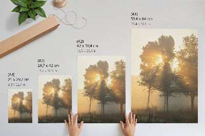 Impression sur toile Lumière chaude et brumeuse de l'aube, inspiration pour les arbres