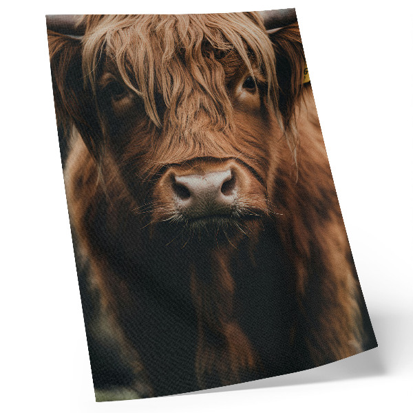 Impression sur toile Portrait animalier, fourrure, ambiance rustique, détail