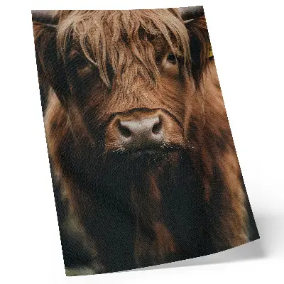 Impression sur toile portrait animalier à la fourrure détaillée dans une ambiance rustique