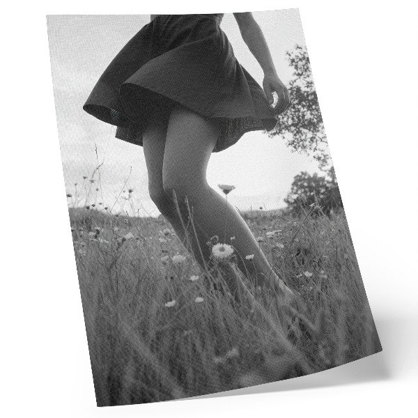 Impression sur toile Une photographie en noir et blanc d'une prairie empreinte d'harmonie et de paix.