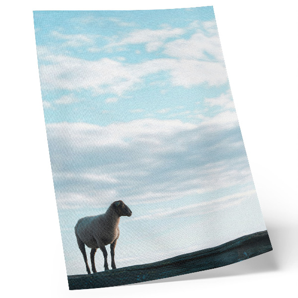 Décoration murale Ciel, nuages, moutons, silence profond, paix