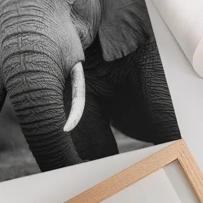 Décoration murale gros plan sur un éléphant symbole de paix et de force