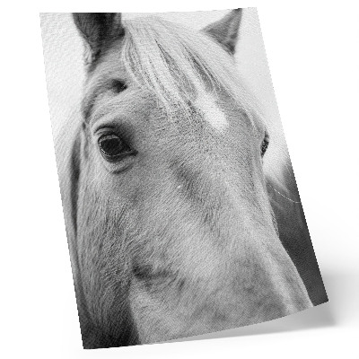 Décoration murale Élégance en noir et blanc de l'œil de cheval