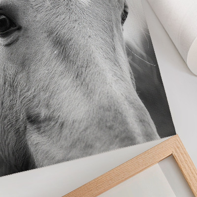 Décoration murale Élégance en noir et blanc de l'œil de cheval