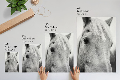 Décoration murale Élégance en noir et blanc de l'œil de cheval