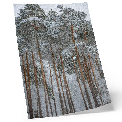 Impression sur toile Forêt d'hiver, arbres enneigés, paix, harmonie, nature