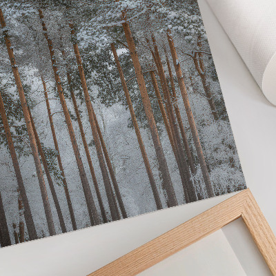 Impression sur toile Forêt d'hiver, arbres enneigés, paix, harmonie, nature