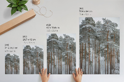 Impression sur toile Forêt d'hiver, arbres enneigés, paix, harmonie, nature