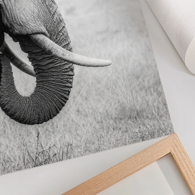 Impression sur toile Portrait d'un éléphant en noir et blanc