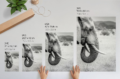 Impression sur toile Portrait d'un éléphant en noir et blanc