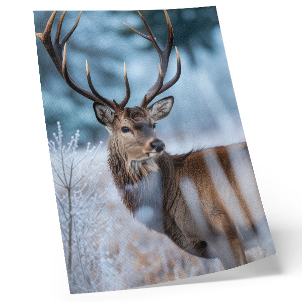 Affiche décorative La beauté de la nature, paysage hivernal, cerf majestueux