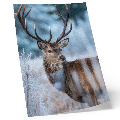 Affiche décorative La beauté de la nature, paysage hivernal, cerf majestueux