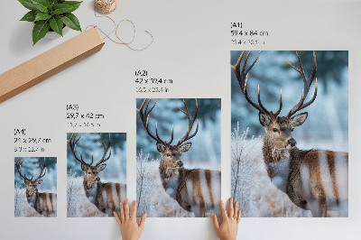 Affiche décorative La beauté de la nature, paysage hivernal, cerf majestueux