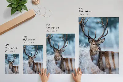 Affiche décorative représentant la beauté de la nature avec un paysage hivernal et un cerf majestueux