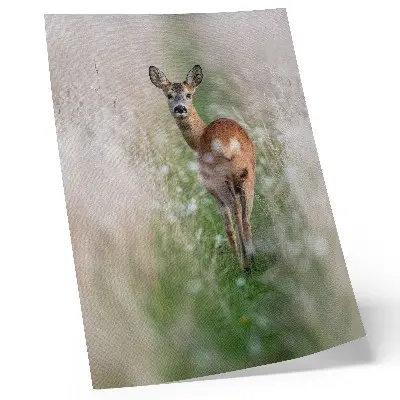 Décoration murale représentant un chevreuil dans une nature harmonieuse et paisible