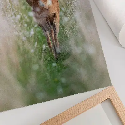 Décoration murale représentant un chevreuil dans une nature harmonieuse et paisible