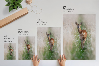 Décoration murale Chevreuil en arrière-plan d'une nature harmonieuse et paisible