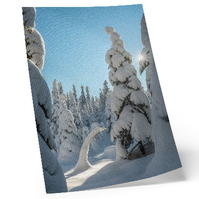 Impression sur toile Arbres enneigés, ciel bleu, soleil