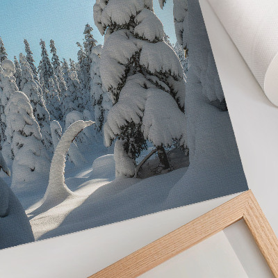 Impression sur toile Arbres enneigés, ciel bleu, soleil