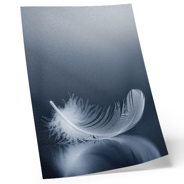 Impression sur toile Plume blanche sur fond gris, paix et harmonie