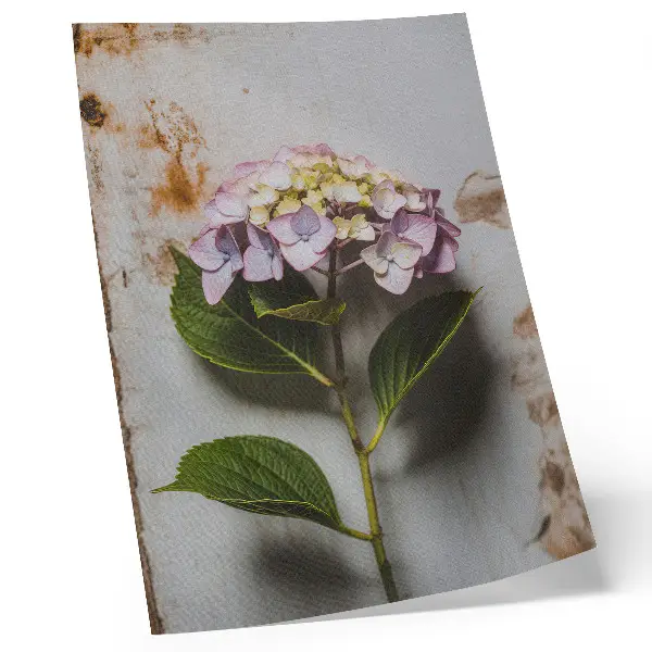 Impression sur toile hortensias roses et feuilles vertes sur fond rustique