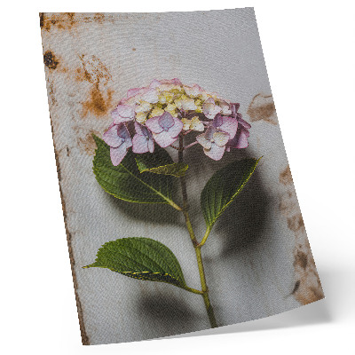Impression sur toile Hortensia rose, feuilles vertes, fond rustique