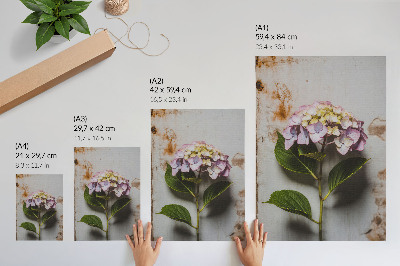 Impression sur toile Hortensia rose, feuilles vertes, fond rustique