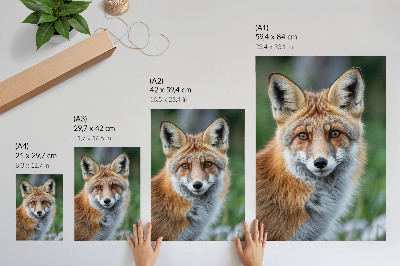 Affiche décorative Portrait de renard, tons chauds, fond vert