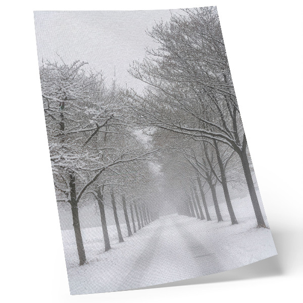 Impression sur toile Allée symétrique d'arbres d'hiver, neige, brouillard