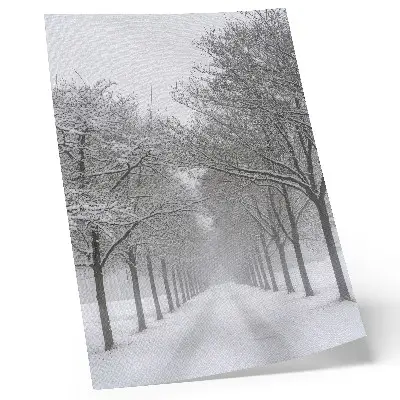 Impression sur toile allée symétrique d'arbres d'hiver dans la neige et le brouillard