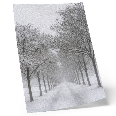 Impression sur toile Allée symétrique d'arbres d'hiver, neige, brouillard
