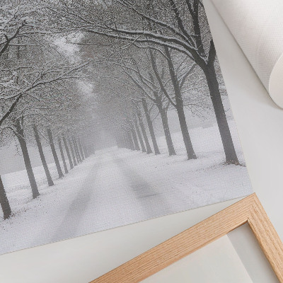 Impression sur toile Allée symétrique d'arbres d'hiver, neige, brouillard