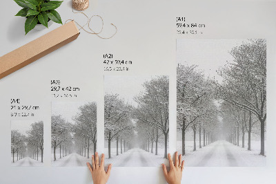 Impression sur toile Allée symétrique d'arbres d'hiver, neige, brouillard