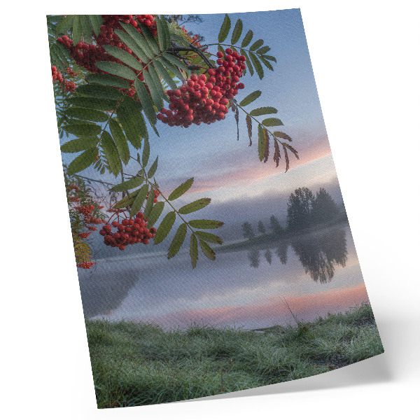 Impression sur toile Lac au petit matin, sorbier, brume délicate, nature
