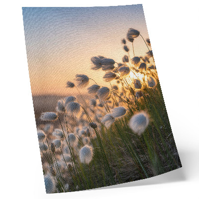 Affiche décorative Herbes au coucher du soleil, couleurs chaudes, naturel
