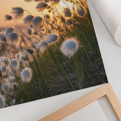Affiche décorative Herbes au coucher du soleil, couleurs chaudes, naturel