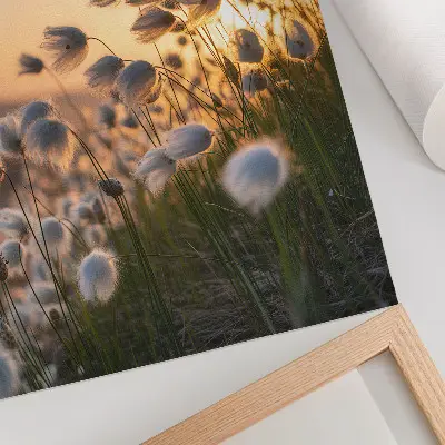 Affiche décorative herbes au coucher du soleil dans des tons chauds naturels
