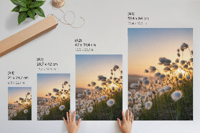 Affiche décorative Herbes au coucher du soleil, couleurs chaudes, naturel