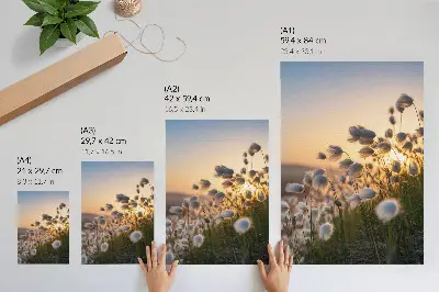 Affiche décorative herbes au coucher du soleil dans des tons chauds naturels
