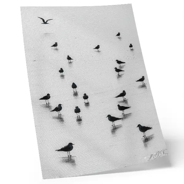 Affiche décorative oiseaux au-dessus de l'eau avec des reflets subtils dans un style minimaliste